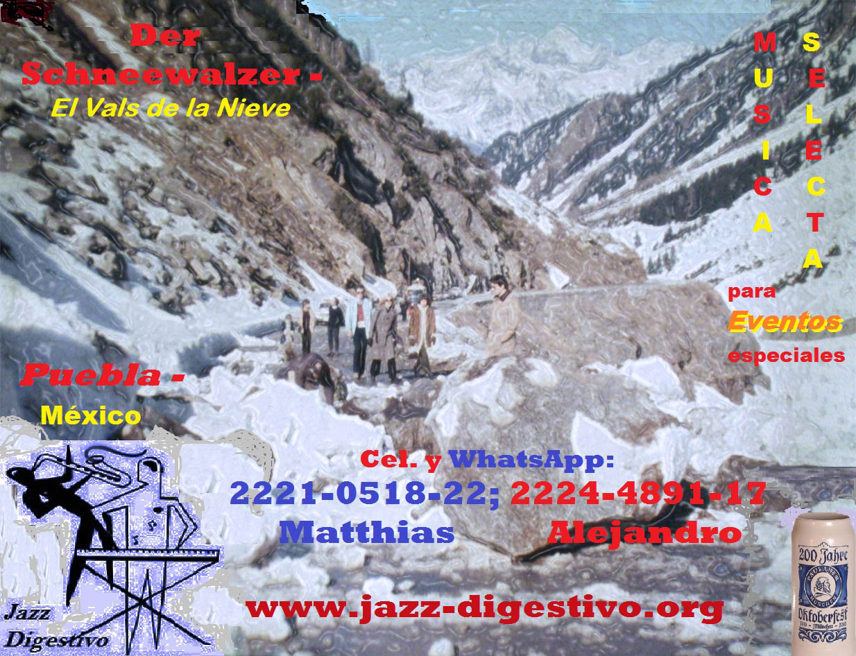 Titelbild "Der Schneewalzer" - Alt-Saxofon und Keyboard --
www.jazz-digestivo.org